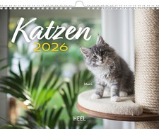 Kalender Katzen 2026